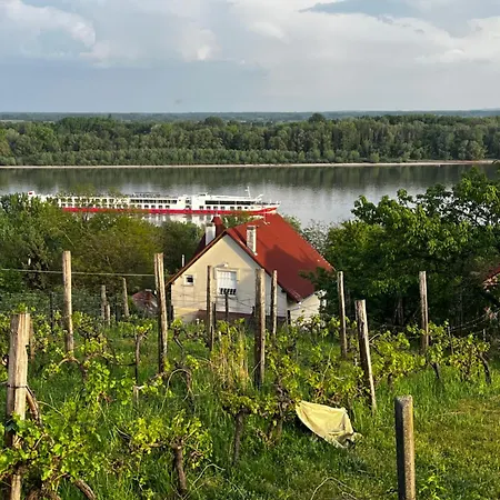 B&B Danube House Mohács